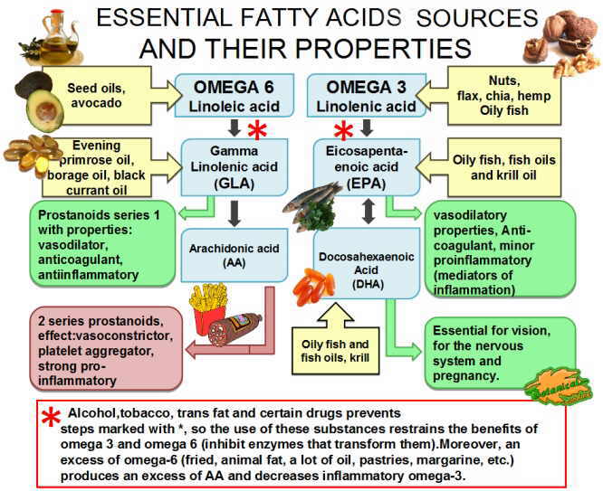 Food With Essential Fatty Acids List Food With Essential Fatty Acids List