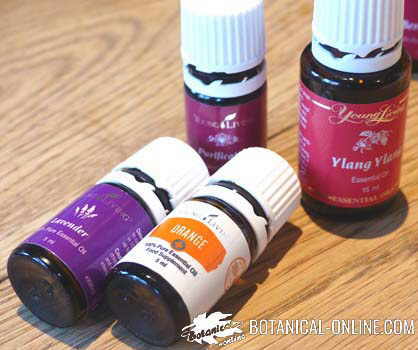 aceites esenciales young living doris pascual