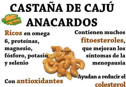 propiedades de los anacardos o castañas de caju