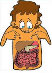 colon