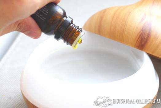 difusor de aceites esenciales