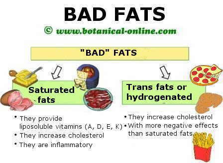 caloric food