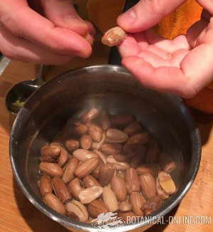 cocinar bellotas de encina
