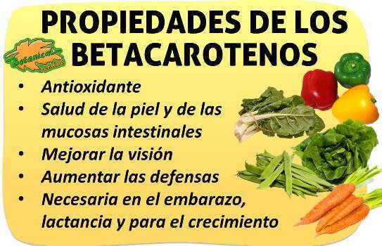 http://www.botanical-online.com/fotos/plantasmedicinales/betacarotenos-propiedades.jpg