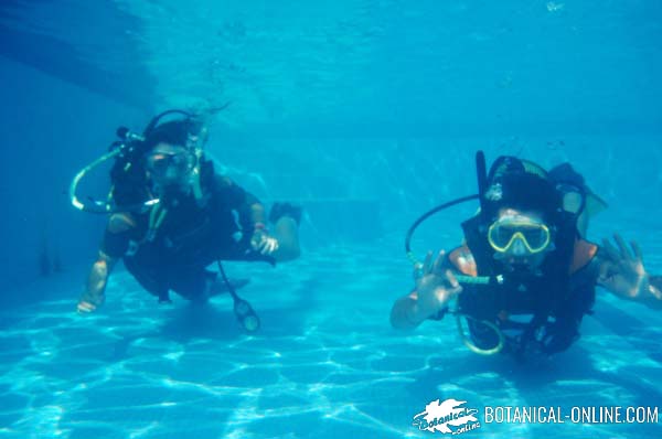 submarinismo