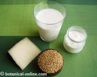 Foods rich in calcium