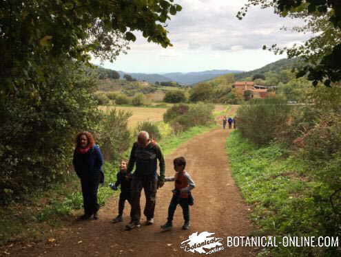 caminar