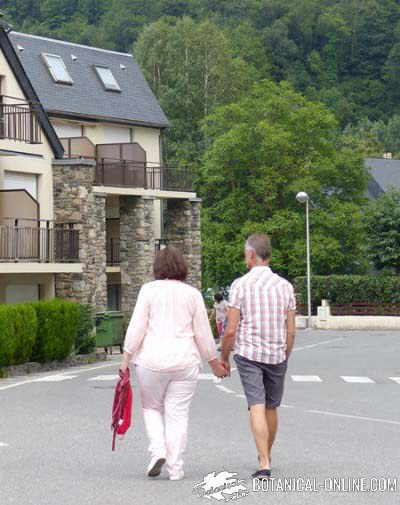 caminar