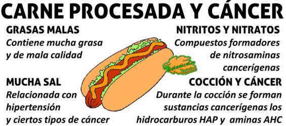 Resultado de imagen para LAS CARNES PROCESADAS SON MALAS