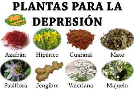tratamiento natural de la depresión con plantas