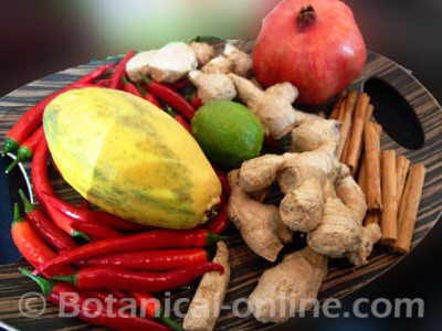 chiles, jengibre, cacao, canela, lima, especias