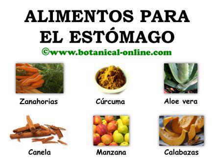 Medicina casera para adelgazar el estomago