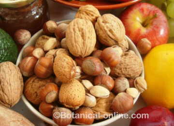 frutos secos