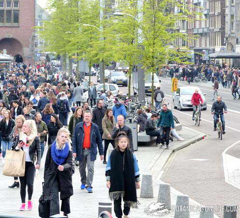 estres ciudad amsterdam