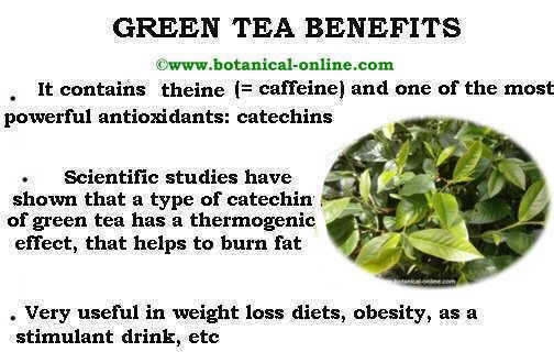 Cut out carbs for weight loss picture 5