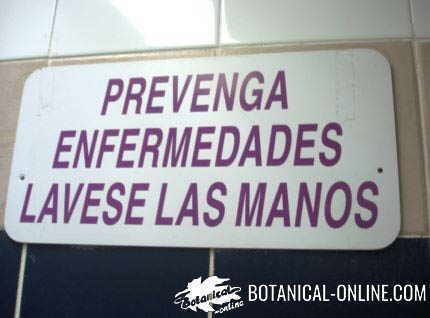 lavese las manos prevenir gripe