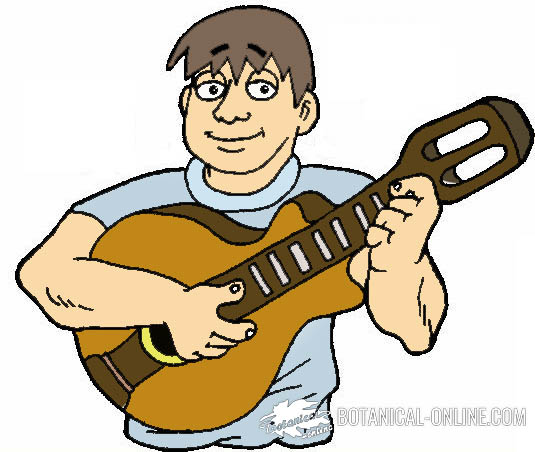 dibujo musico guitarra española