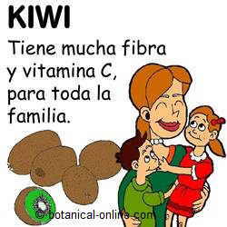 beneficios del kiwi
