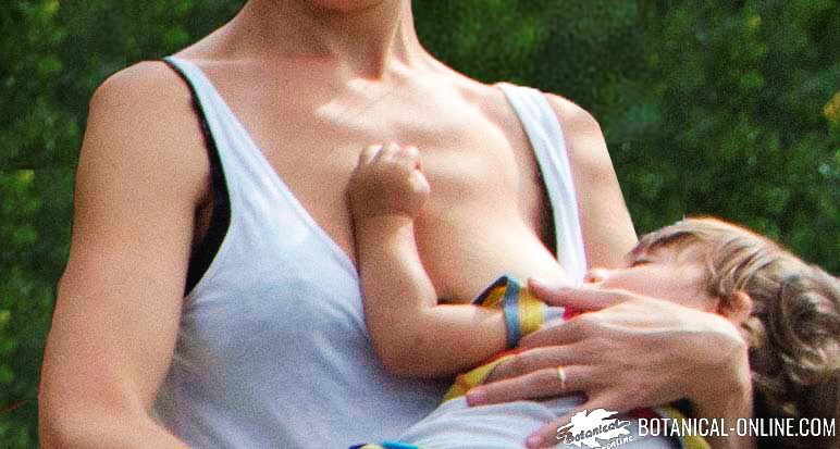 breastfeeding