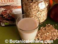leche de avena