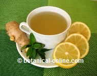 Digestive infusion of ginger, lemon and mint