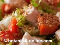 linaza ensalada