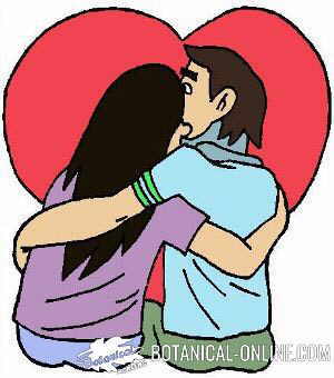 dibujo pareja enamorados novios amor dia san valentin