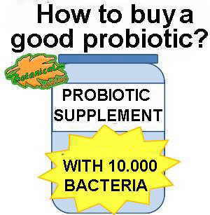 probiotic supplement for irritable bowel