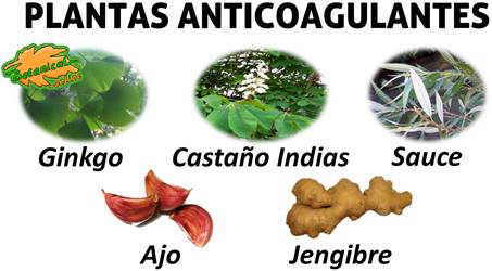 plantas medicinales y remedios con propiedades anticoagulantes