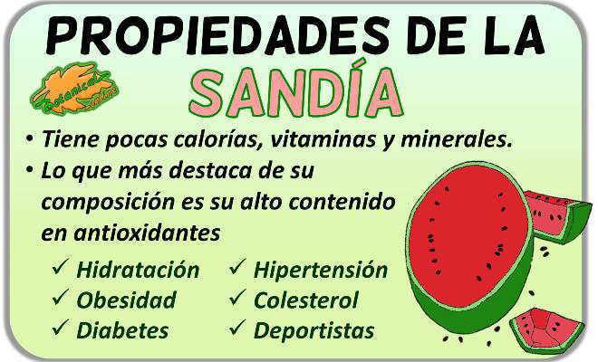 Propiedades de las sandías Propiedades de las sandías