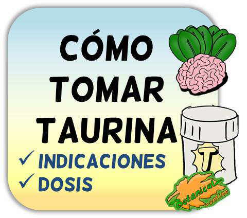 como tomar suplementos de taurina