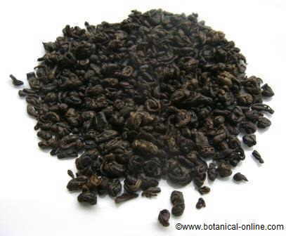 Infusión de té verde