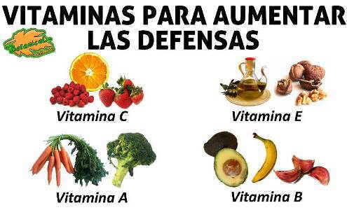 Resultado de imagen de vitaminas defensas