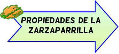 propiedades de la zarzaparrilla