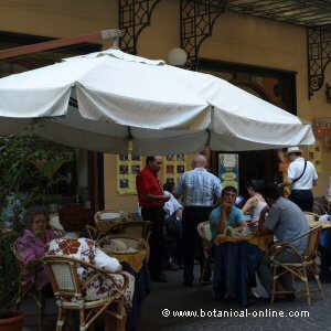 people ina bar