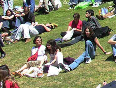 people on the grass