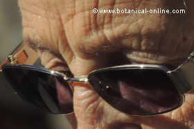 glaucoma