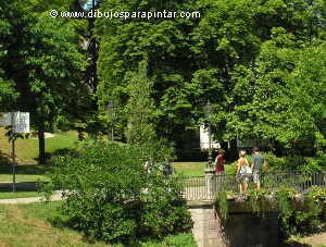 Paseo entre árboles