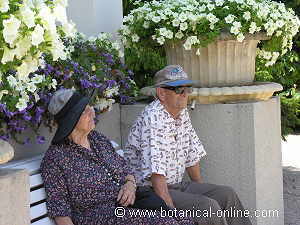 old people sitting on a bank