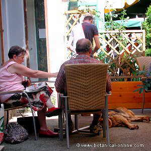 people sitting