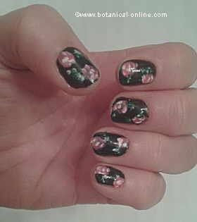 Decorated nails