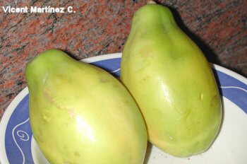 papaya fruit