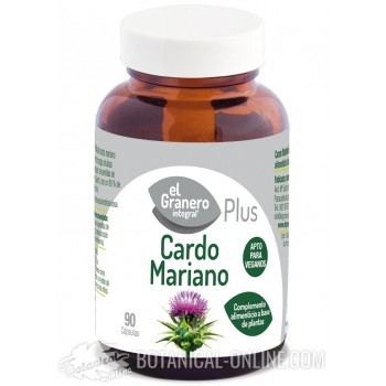 Propiedades del cardo mariano – Botanical-online