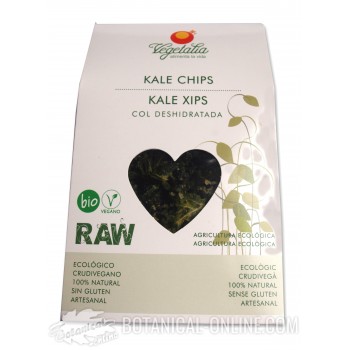 Composición y propiedades chips Kale ecológicos