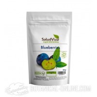 Blueberries en polvo ecológicos 125gr de SaludViva