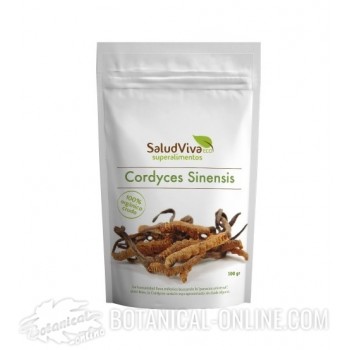 Beneficios y comprar Hongo Cordyceps sinensis ecológico