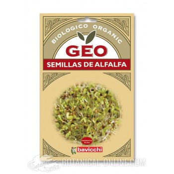 Comprar Semillas de Alfalfa 40g para germinar