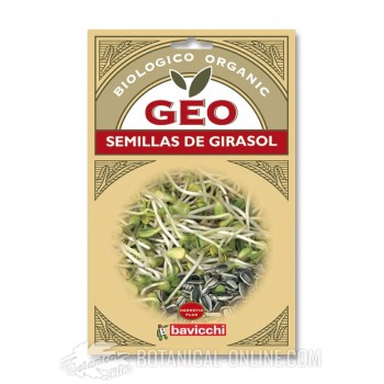 Comprar Semillas de girasol para germinar 90g