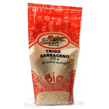 Comprar Trigo Sarraceno ecológico - Propiedades y cómo cocinarlo