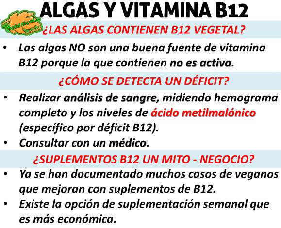 vitamina b12 algas contiene analogos vitamina activa, mitos de los suplementos